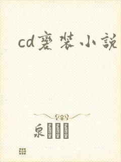 cd变装小说
