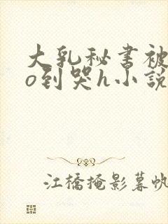 大乳秘书被cao到哭h小说