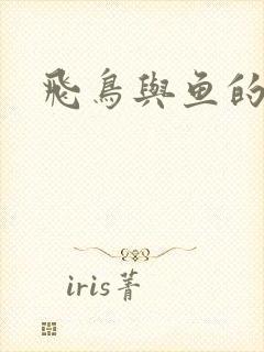 飞鸟与鱼的故事