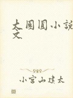 大团圆小说集全文