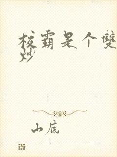 校霸是个双被爆炒