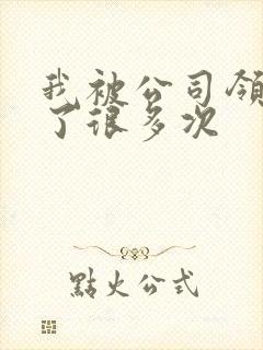 我被公司领导C了很多次