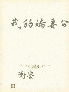 我的娇妻公务员