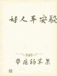 好人平安骁骑校