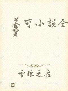 姜可小说全文免费