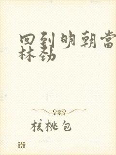 回到明朝当王爷林劲