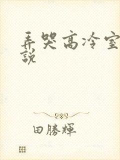 弄哭高冷室友小说