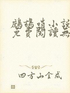 鹧鸪哨小说网站免费阅读无弹窗