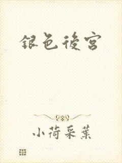 银色后宫