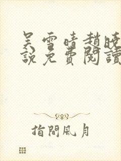 吴雪晴赵晓东小说免费阅读