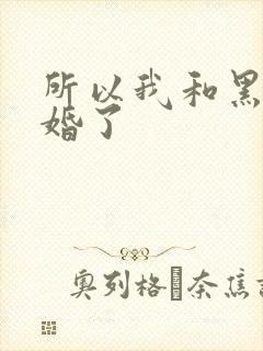 所以我和黑粉结婚了