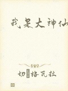 我是大神仙小说