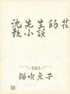 沈先生的花式管教小说