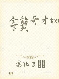 全能奇才txt下载
