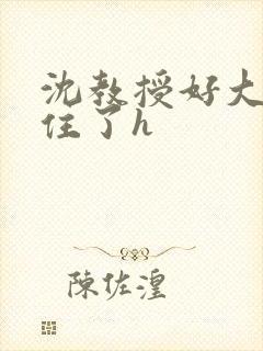 沈教授好大含不住了h