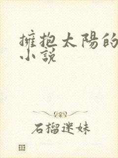 拥抱太阳的月亮小说