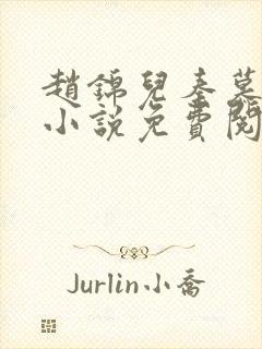 赵锦儿秦慕修的小说免费阅读全文