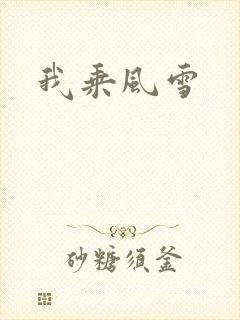我乘风雪