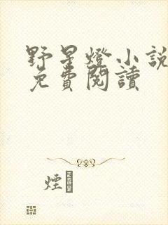 野星灯小说全文免费阅读