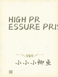 HIGH PRESSURE PRISON