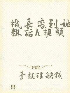 机长脔到她哭h粗话h视频