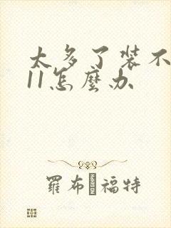 太多了装不下h11怎么办