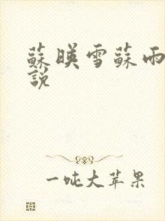 苏映雪苏雨柔小说