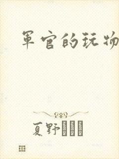 军官的玩物