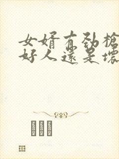 女婿有劲枪枪是好人还是坏人