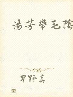 汤芳带毛阴部