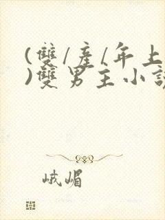 (双/产/年上)双男主小说