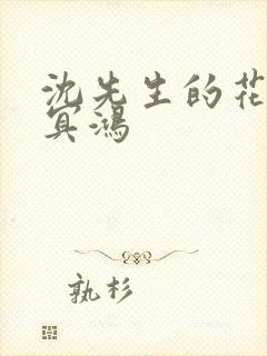 沈先生的花式调冥鸿