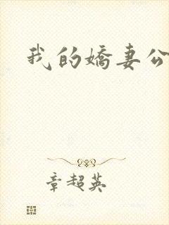 我的娇妻公务员