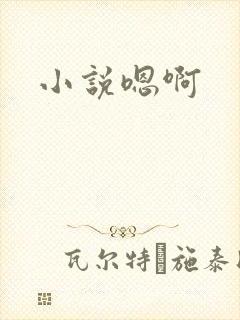 小说嗯啊