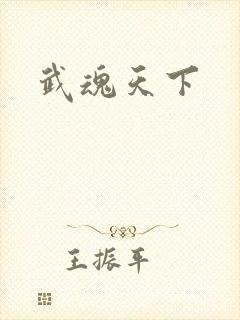 武魂天下