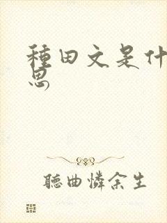 种田文是什么意思