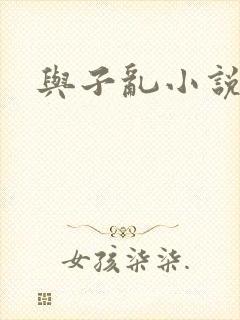 与子乱小说