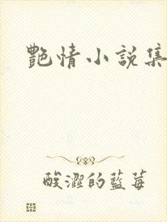 艳情小说集