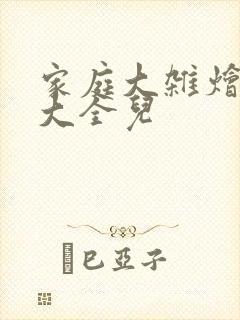 家庭大杂烩小说大全儿