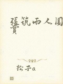 张筑雨人图片欣赏封面