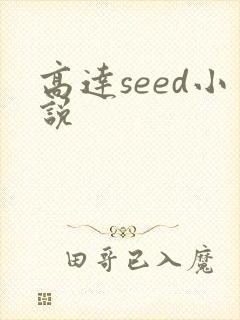 高达seed小说