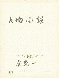 h肉小说