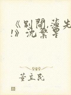 《别闹,薄先生!》沈繁星