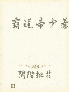 霸道帝少惹不得