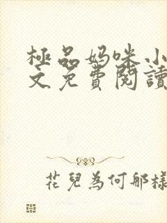 极品妈咪小说全文免费阅读