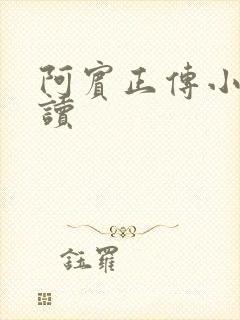 阿宾正传小说在读