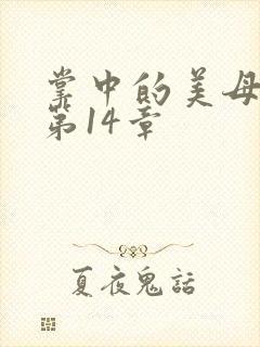 掌中的美母版主第14章