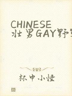 CHINESE壮男GAY野战强迫TUBE