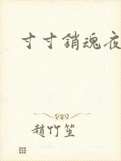 寸寸销魂夜春光