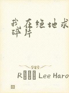 我在绝地求生捡碎片